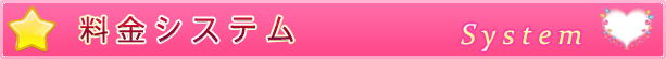 「System Title」